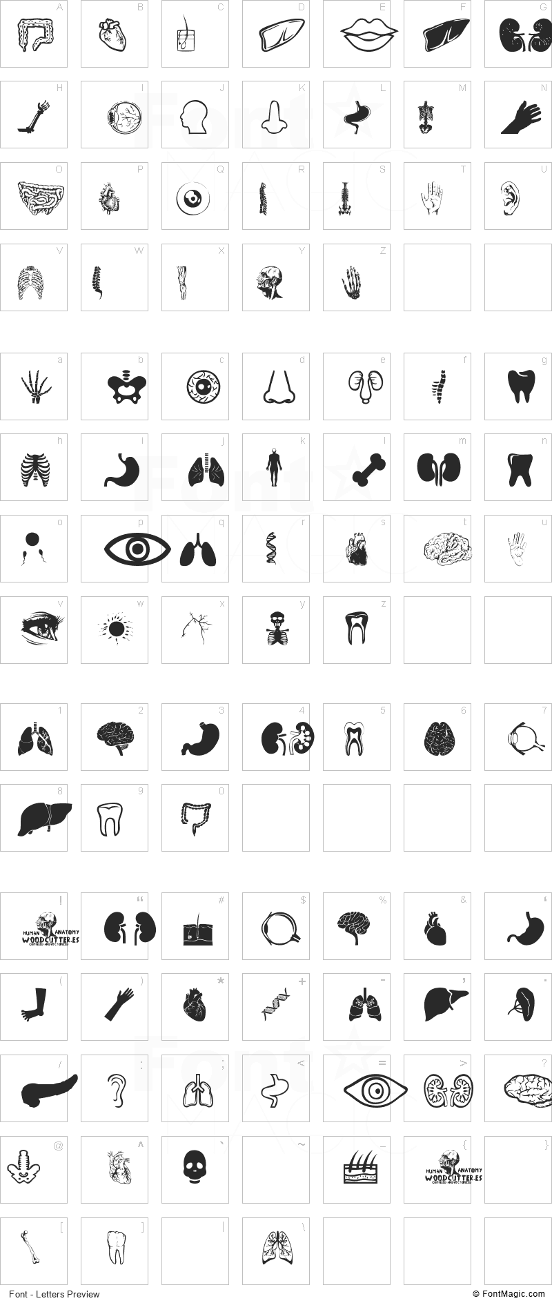 Human Anatomy Font - All Latters Preview Chart
